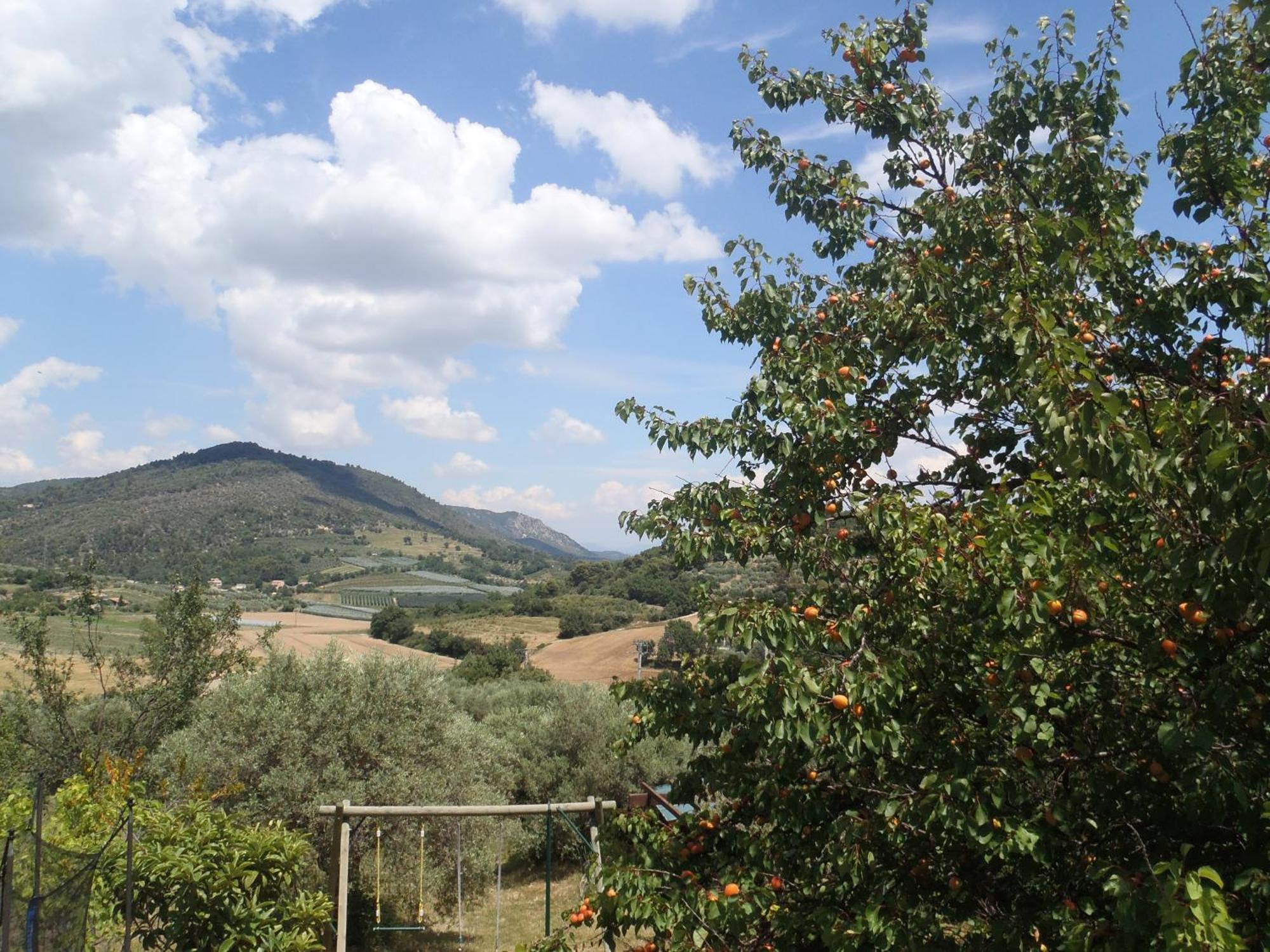 Les Chevrefeuilles Leilighet Manosque Eksteriør bilde