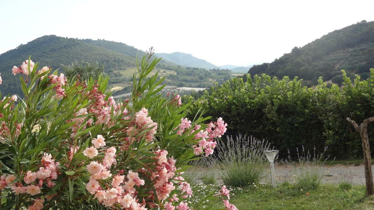 Les Chevrefeuilles Leilighet Manosque Eksteriør bilde